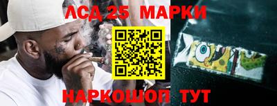 стафф Донецк