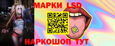 стафф Донецк