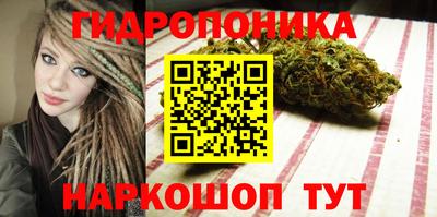стафф Донецк