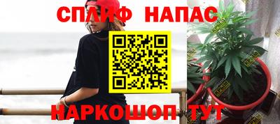 стафф Донецк