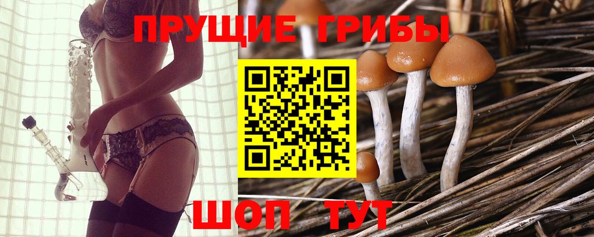 где купить   Галлюциногенные грибы MAGIC MUSHROOMS  Вход с VPN  Люберцы 